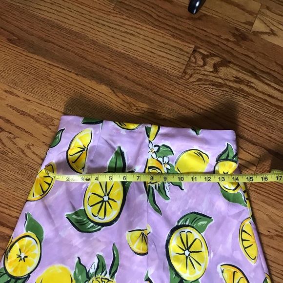 Zara Lemon Print Pink Midi Skirt - Picture 6 of 10